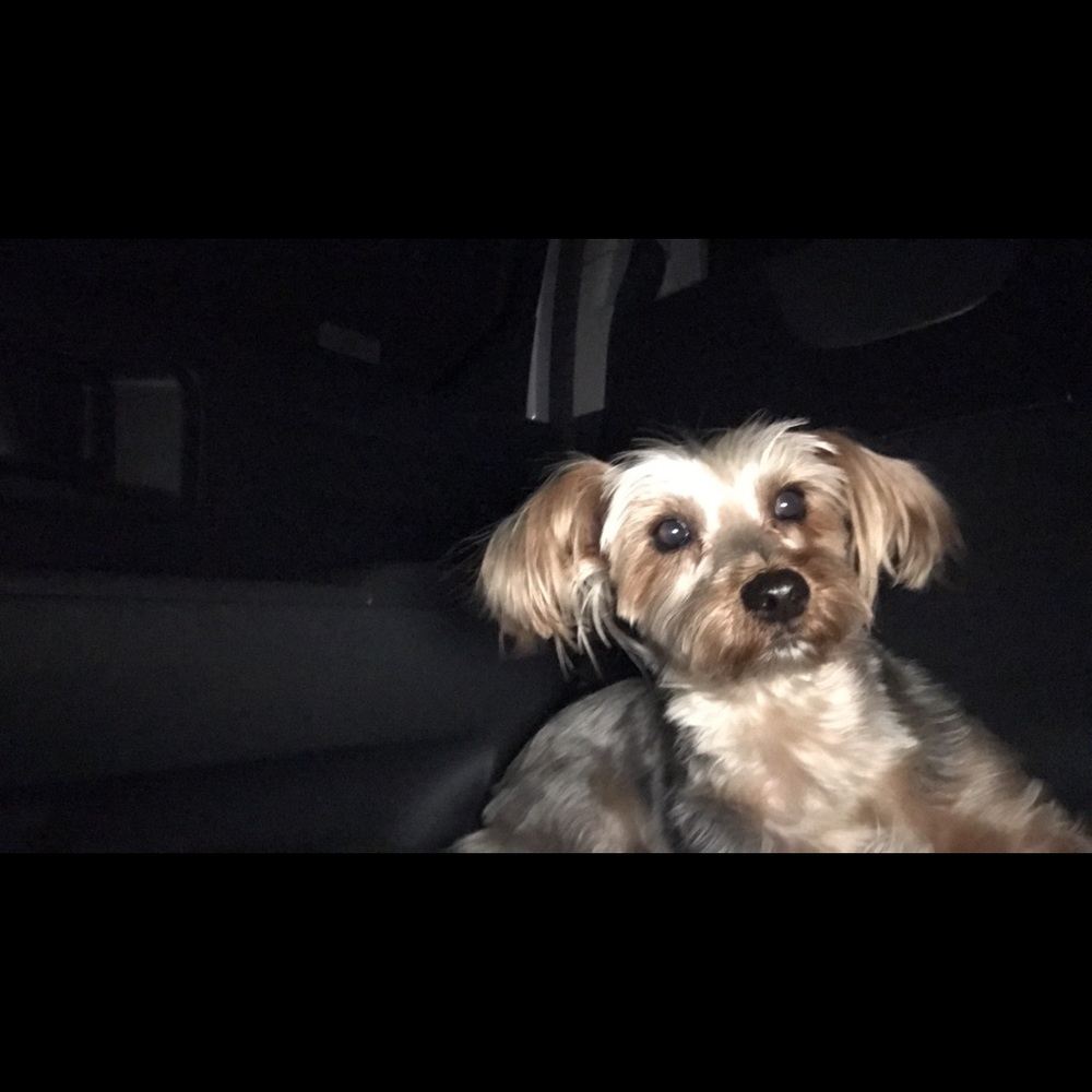 Meet your Posher, Ashley